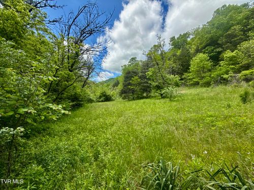 47 Justice Rd, Eidson, TN, 37731 | Card Image