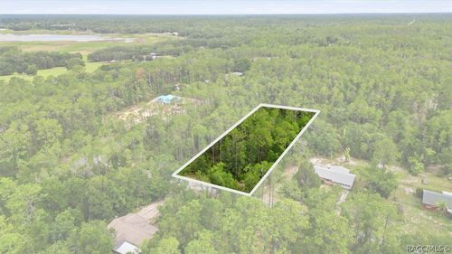 0000 Sw Nautilus Boulevard, Dunnellon, FL, 34431 | Card Image