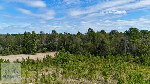 0 Ernest Carter Rd, Hazlehurst, GA, 31539 | Card Image