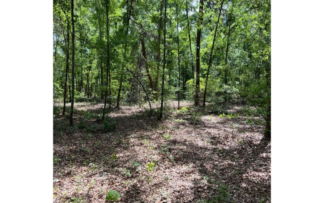 1285 Nw Sophie Dr, House other with 2 bedrooms, 2 bathrooms and 3 parking in White Springs FL | Image 19