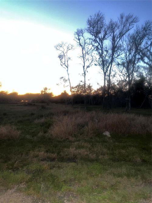 32602 Bayou Bnd, Richwood, TX, 77515-7084 | Card Image