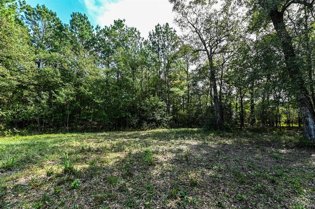0 Highway 105, Home with 0 bedrooms, 0 bathrooms and null parking in Hull TX | Image 13