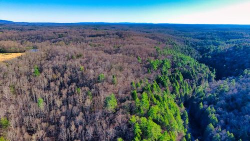 Tract 2 Ervin Brown Road, Sunbright, TN, 37872 | Card Image