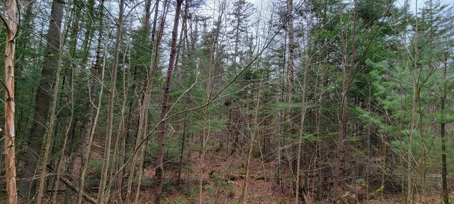Lot 12 Mirror Lake Estates Dr, Home with 0 bedrooms, 0 bathrooms and null parking in Whitefield NH | Image 20