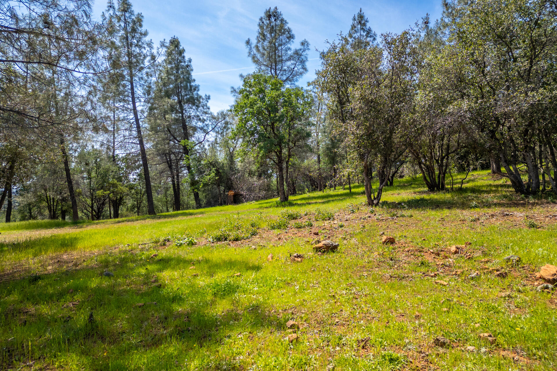 Land in Bella Vista 2