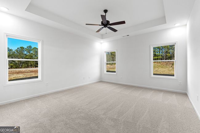 19 - 316 Hammerstone Ct, House other with 4 bedrooms, 3 bathrooms and 2 parking in Senoia GA | Image 28