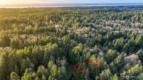 13 357th Ln, Ocean Park, WA, 98640 | Card Image