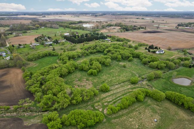 Beautiful Green Land | Image 10