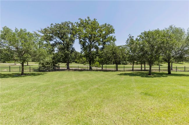 View of yard | Image 39
