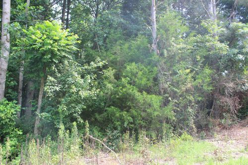 0 Co Rd 738, Cullman, AL, 35055 | Card Image