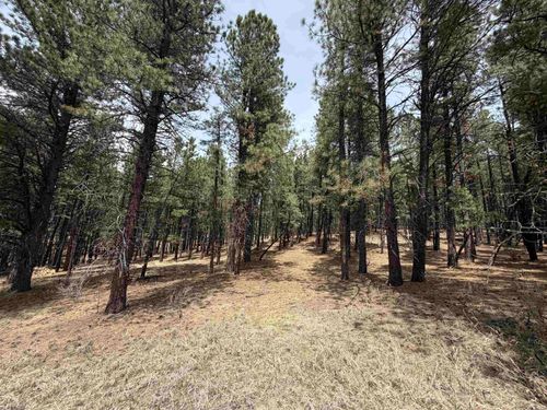 Lot 22 Valley Rd, Angel Fire, NM, 87710 | Card Image