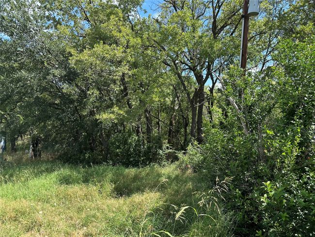 View of undeveloped land | Image 8