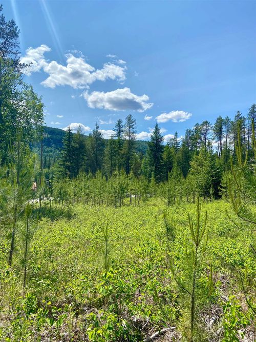 TBD Joyner Dr E, Cusick, WA, 99119 | Card Image