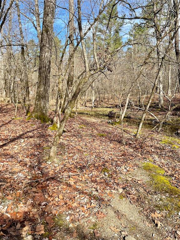 Land in Broken Bow 3