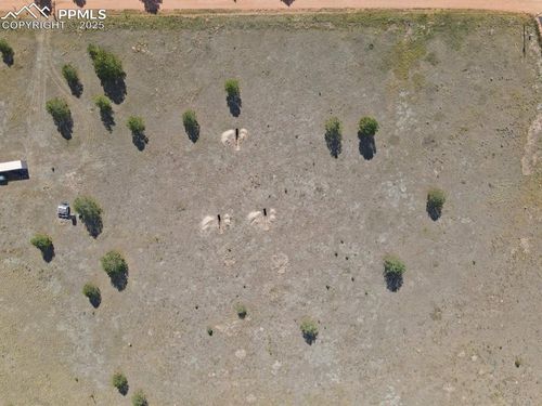 300 S Deer Mountain Rd, Florissant, CO, 80816-8710 | Card Image