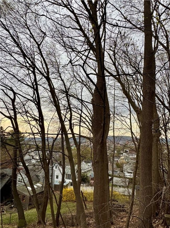 17 Phinn Ave, House other with 3 bedrooms, 2 bathrooms and null parking in Binghamton NY | Image 40