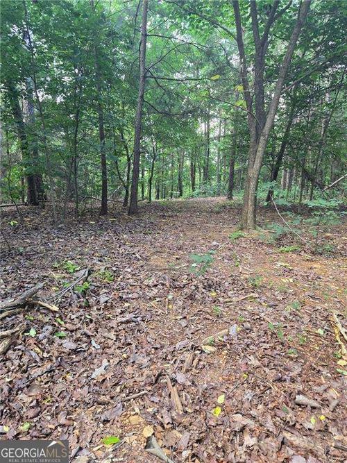 155 Banks Chapel Rd Ne, Ranger, GA, 30734-9749 | Card Image