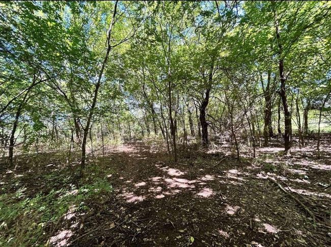 View of landscape featuring a wooded view | Image 9