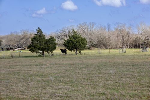 7 Mulecreek Rd, Harwood, TX, 78632 | Card Image
