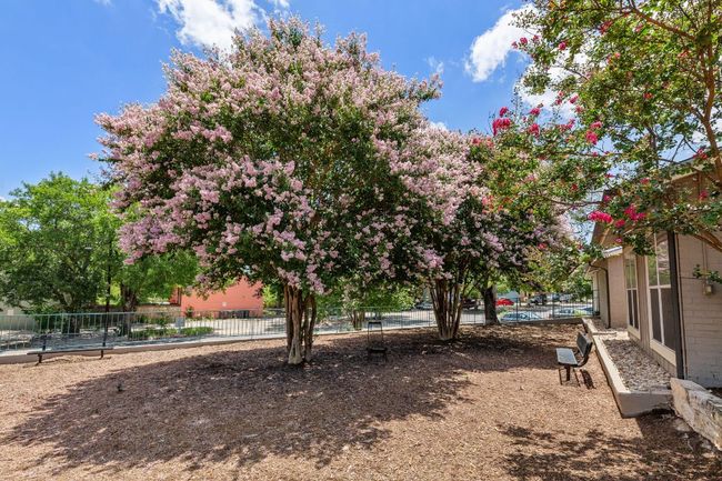 APT-207 - 3819 Southway Dr, Condo with 0 bedrooms, 1 bathrooms and null parking in Austin TX | Image 16