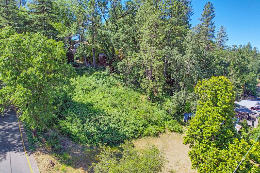 Land in Placerville 4