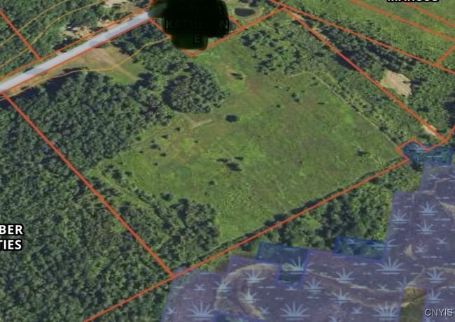 37224 County Route 4, Home with 0 bedrooms, 0 bathrooms and null parking in Clayton NY | Image 10