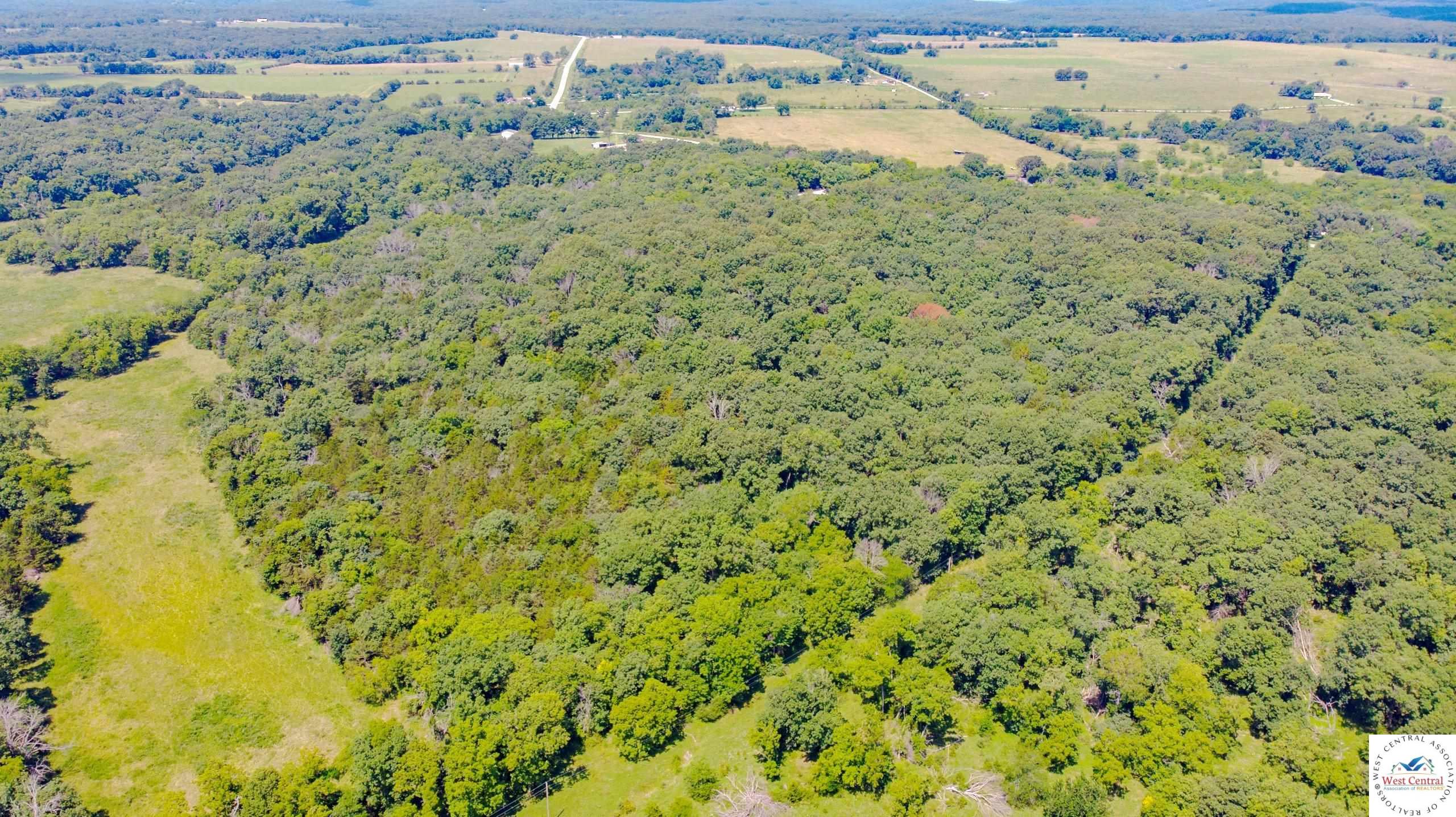 Land in Osceola 5