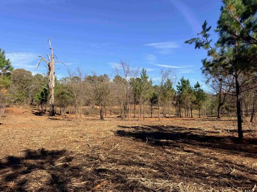 10719 Portside Circle, Tyler, TX, 75708 | Card Image