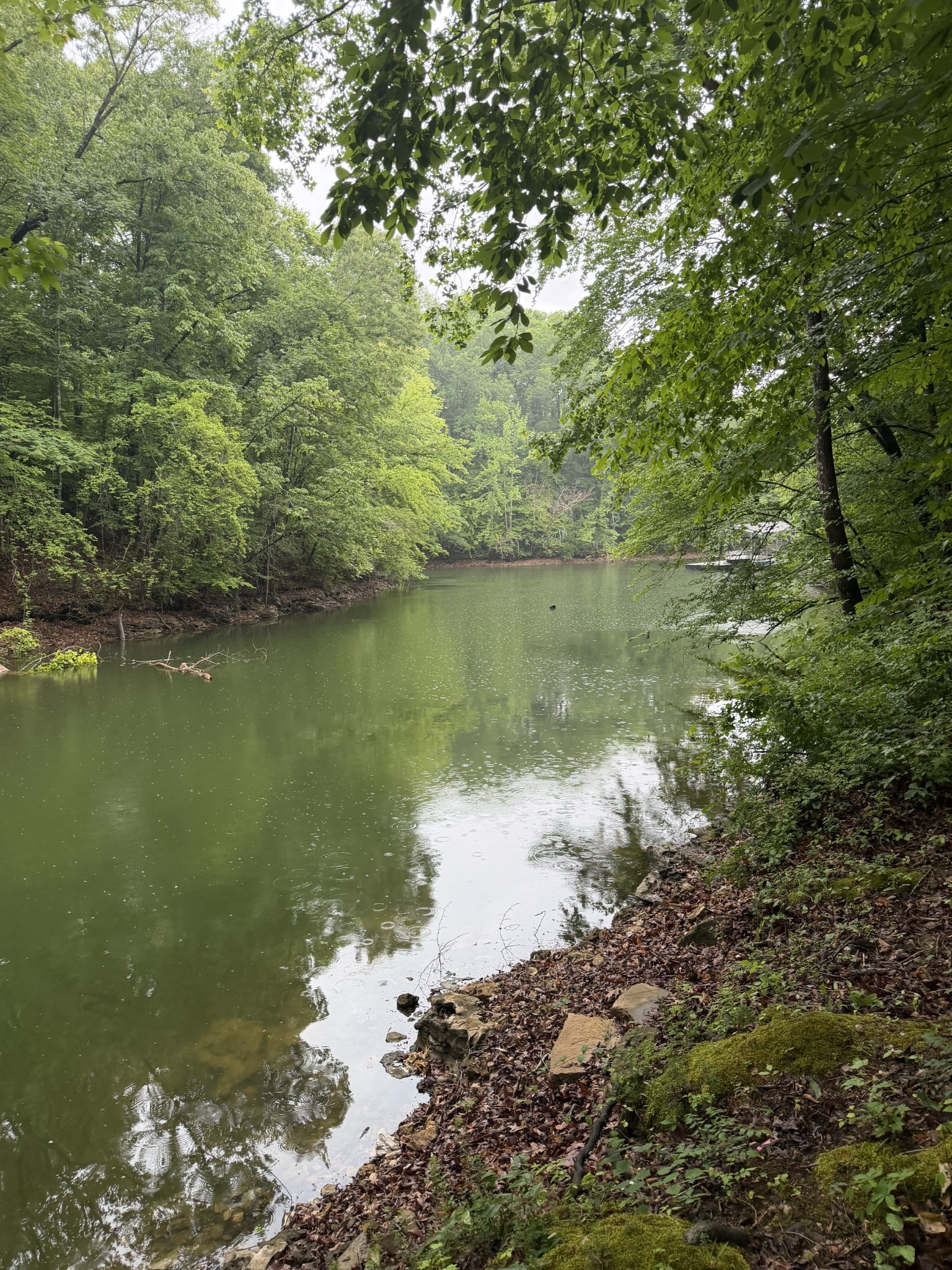 Land in Estill Springs 5