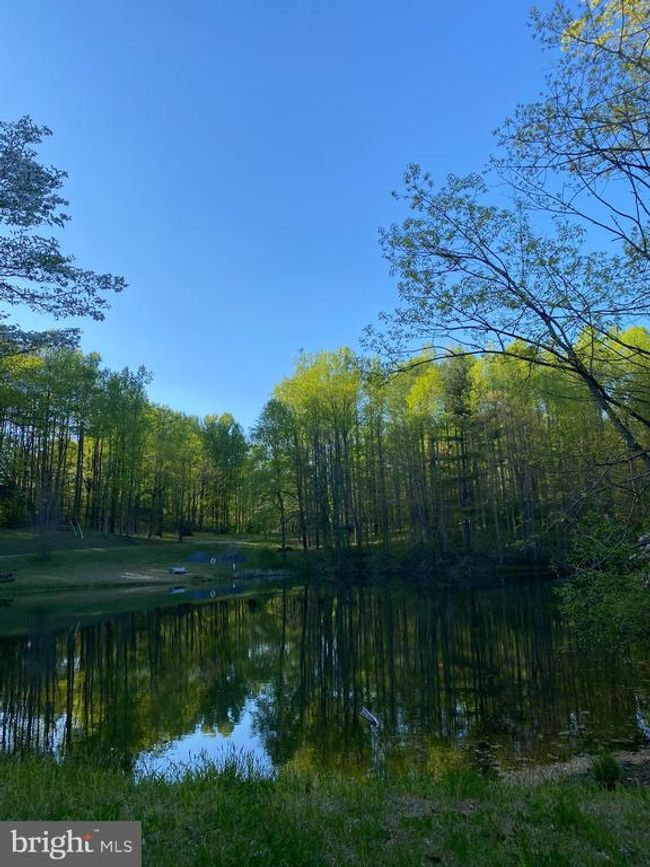 0 Revenooer Rd, Home with 0 bedrooms, 0 bathrooms and null parking in MADISON VA | Image 14