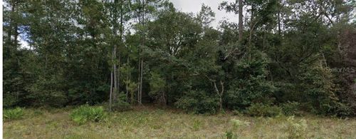 110 W Hillsborough Ave, Florahome, FL, 32140 | Card Image