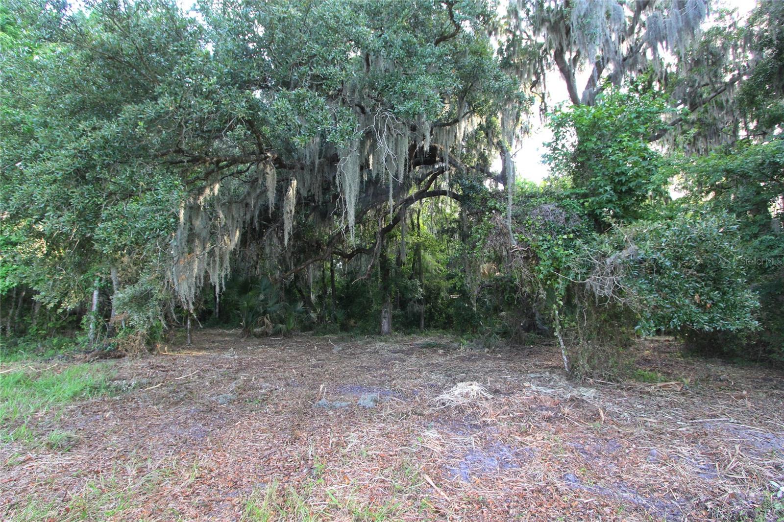 Land in SUMTERVILLE