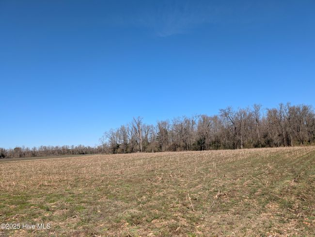 000 Cedar Fork Rd, Home with 0 bedrooms, 0 bathrooms and null parking in Beulaville NC | Image 4