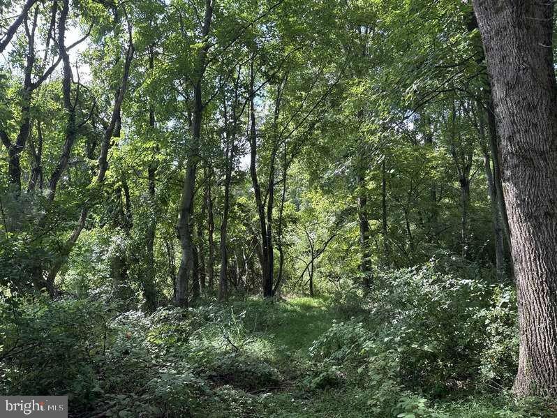 Land in OWINGS MILLS