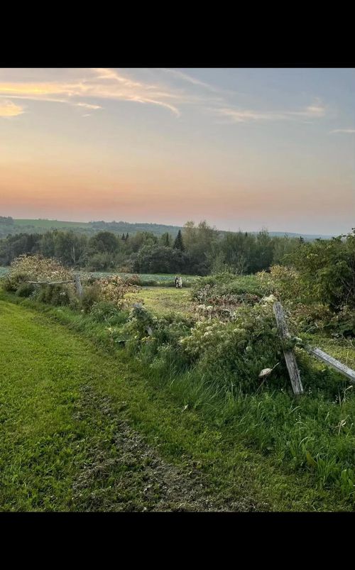 M8-L16 Grendell Road, Chapman, ME, 04757 | Card Image