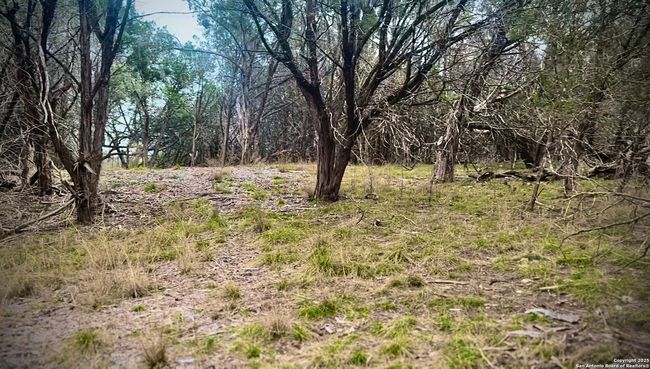 0 Creekside At Camp Verde Phase 2 Lot 151, Home with 0 bedrooms, 0 bathrooms and null parking in Center Point TX | Image 10