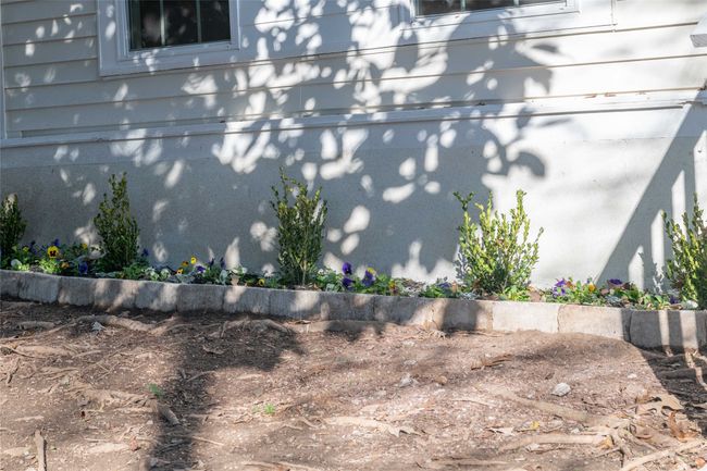 Landscaping | Image 5