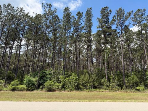15693 Wooded Trail Way, Willis, TX, 77378 | Card Image