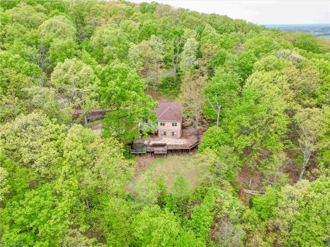 Homes surrounded by trees | Image 38