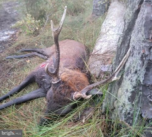 0 Cedar Creek Rd, CRAPO, MD, 21626 | Card Image