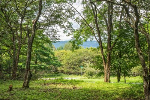 7 Roaring Plains Dr, Dryfork, WV, 26263 | Card Image