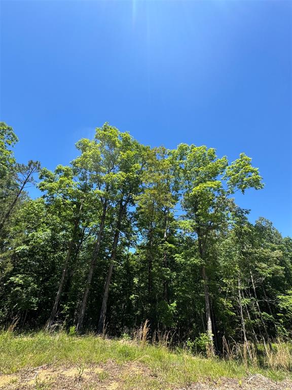 Land in Watson 4