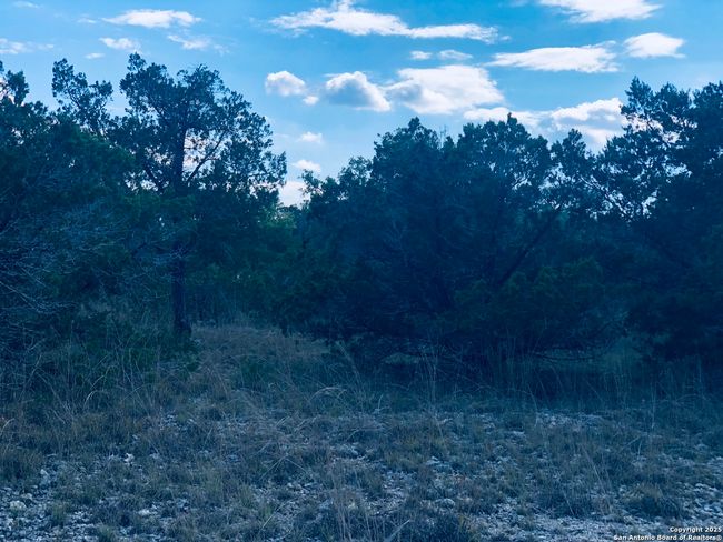 1020 Cliff Cir, Home with 0 bedrooms, 0 bathrooms and null parking in Spring Branch TX | Image 13