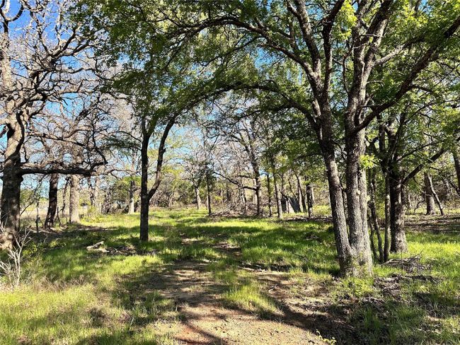 Lot 13 Cr 127, Home with 0 bedrooms, 0 bathrooms and null parking in Carlton TX | Image 19