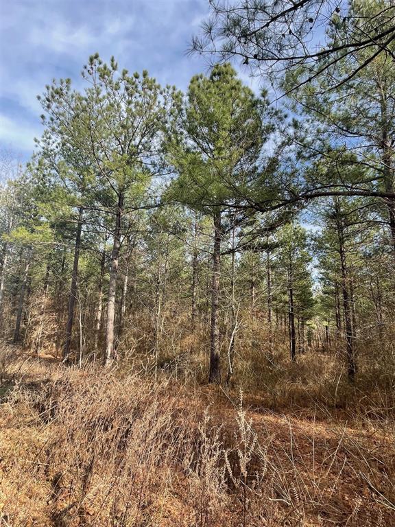 Land in Broken Bow 3