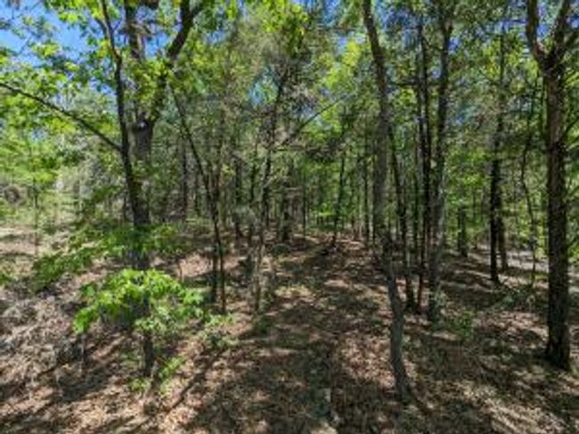TBD 7A Spring Creek Trail, Home with 0 bedrooms, 0 bathrooms and null parking in Cecil AR | Image 8