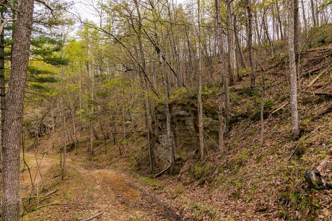 9999 Highway 52 E, Home with 0 bedrooms, 0 bathrooms and null parking in Beattyville KY | Image 15