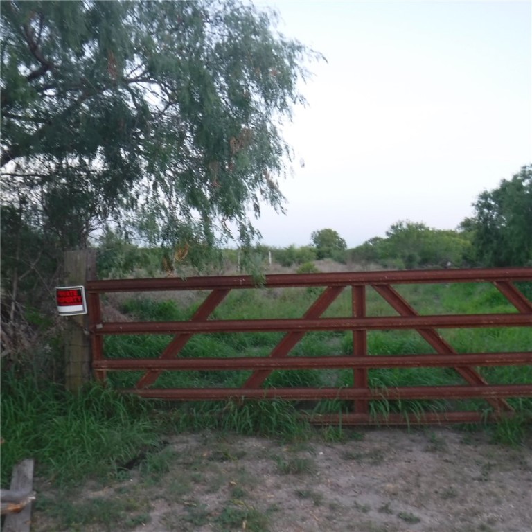 Farm in Kingsville 3