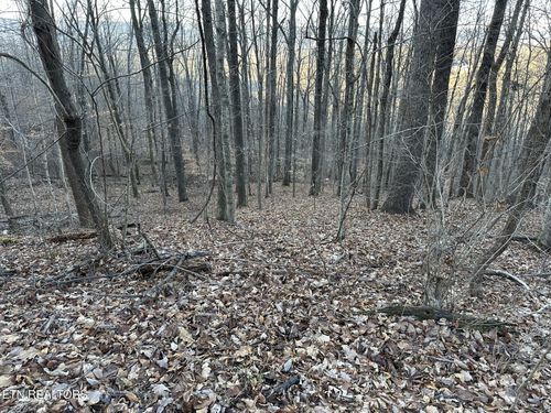 00 Fox Ridge Rd, Pikeville, TN, 37367 | Card Image