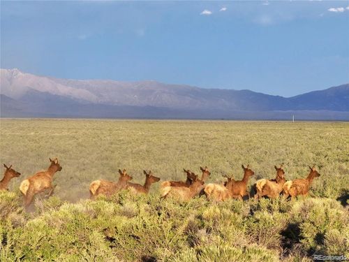 10 2nd Ave, Mosca, CO, 81146 | Card Image